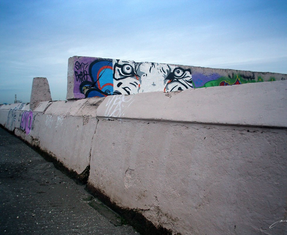 Tiger eyes at sandymount baths