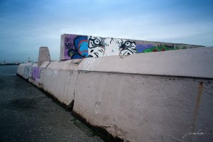 Tiger eyes at sandymount baths