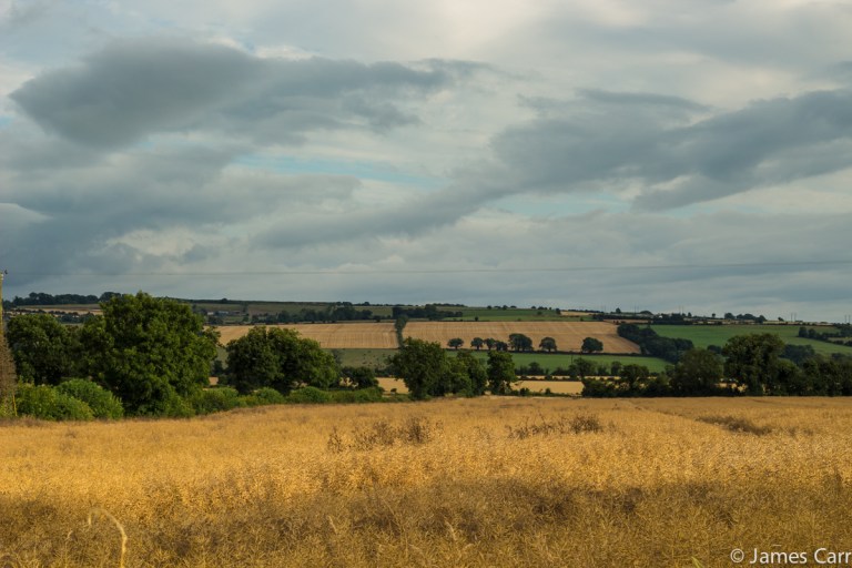 Field 2, Duleek. 28/07/14. 7.14pm