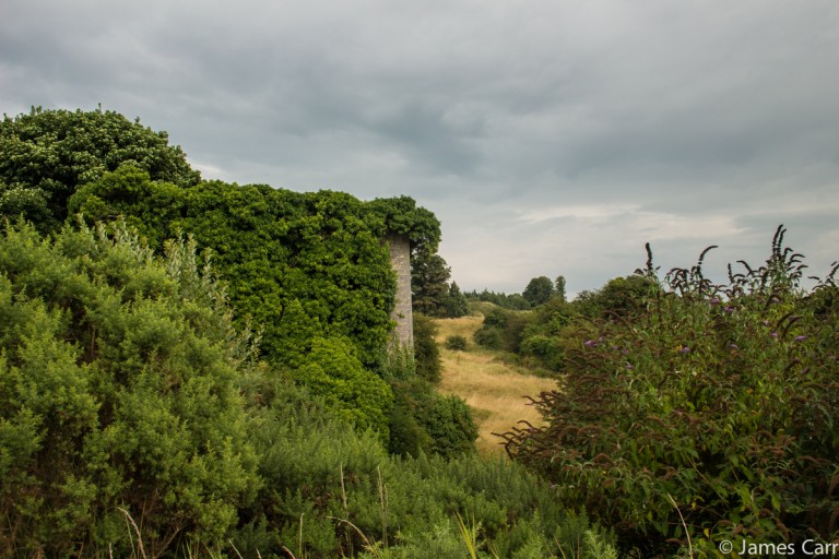 Near the M1, Drogheda, Co. Louth