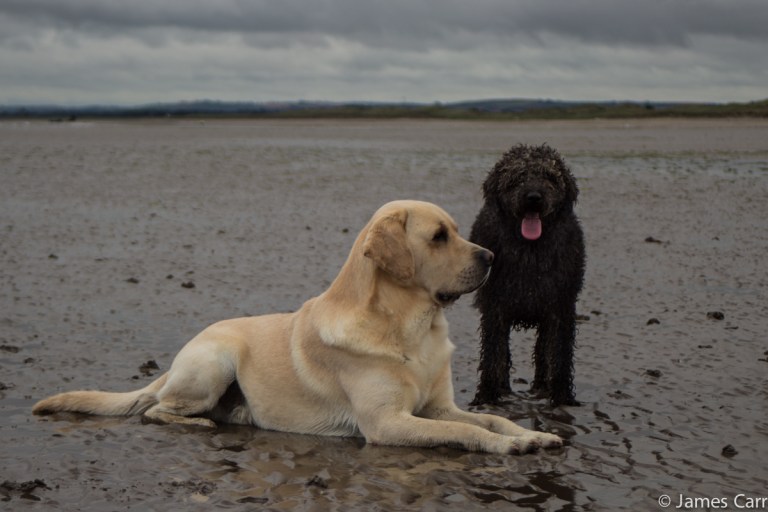 Two friendly guys we met on Termonfeckin Beach