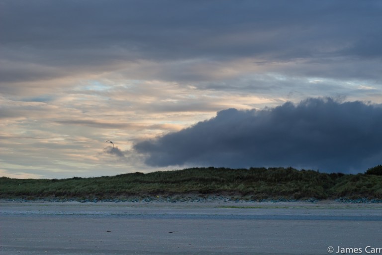 Bird flies ahead of the cloud spike. Termonfecking Beach, Co. Louth