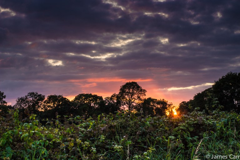 Near Duleek, Co. Louth