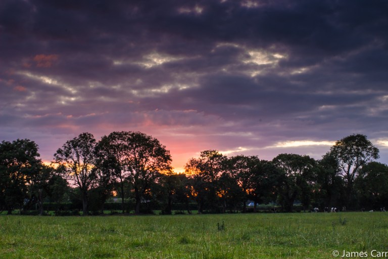 Near Duleek, Co. Louth