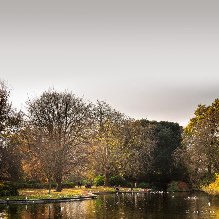 Stephen's Green - Nov 29th 2014