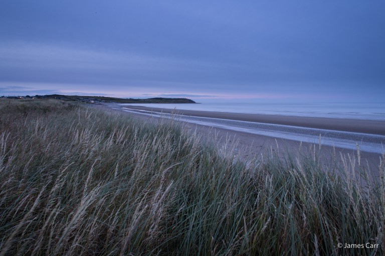 JamesCarr-0880