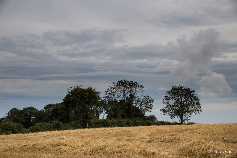 JamesCarr-0936