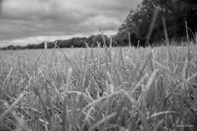 JamesCarr-1078